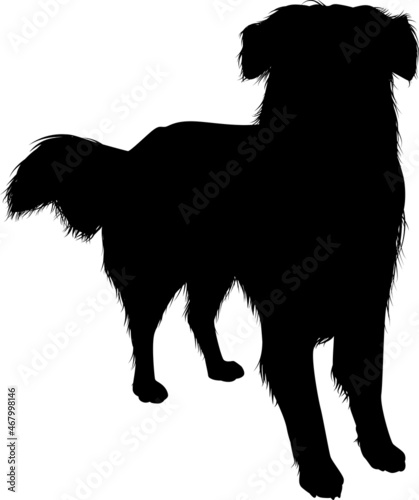 Vector silhouette of a puppy dog standing