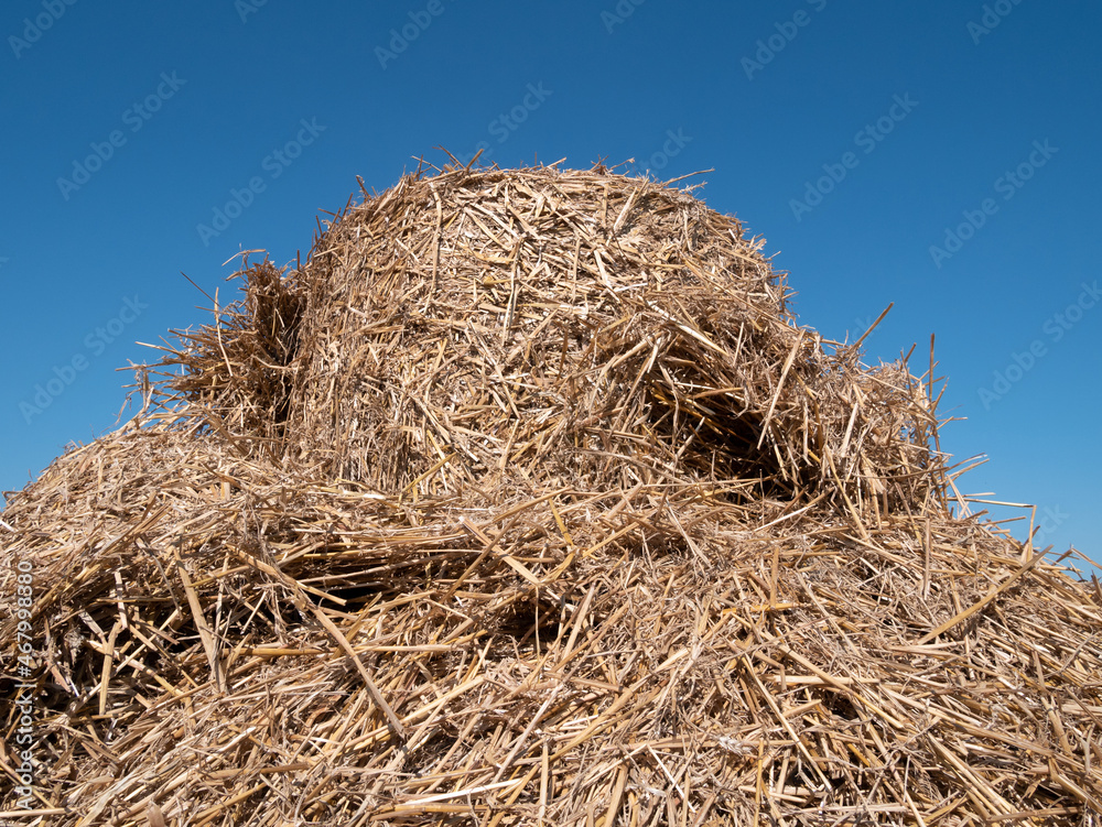 Haystack (hay balls, haycock or hay bales) on a farm field, against clear blue sky. Haystack (hay balls, haycock or hay bales) on a farm field, against clear blue sky.