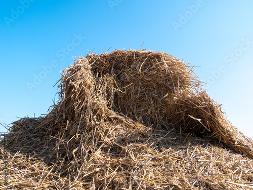 Haystack (hay balls, haycock or hay bales) on a farm field, against clear blue sky.