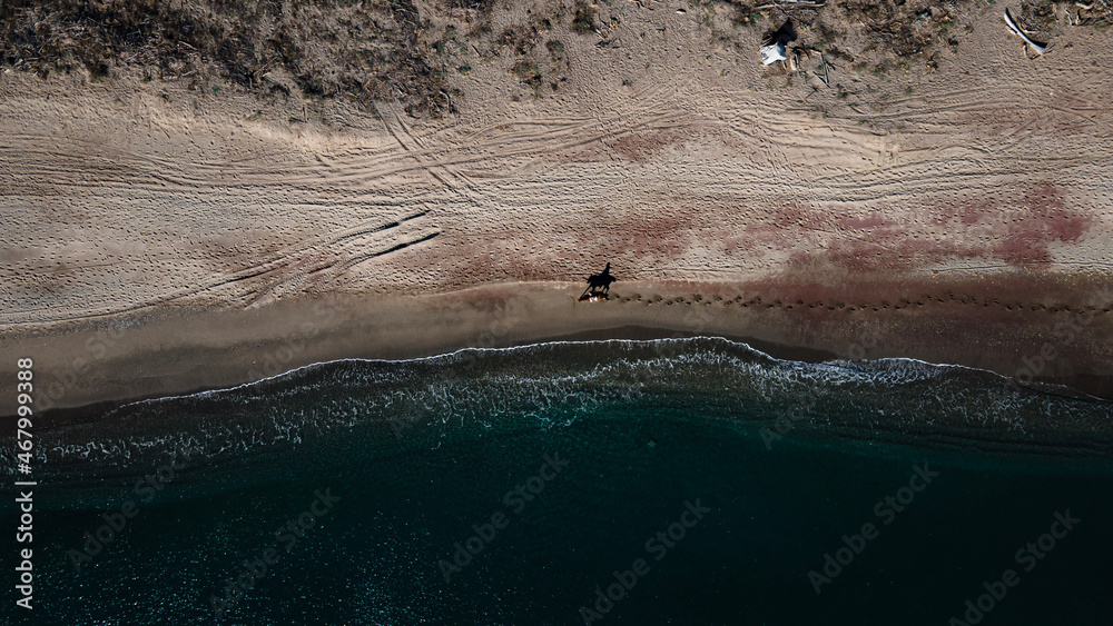 horse rider on beach from drone