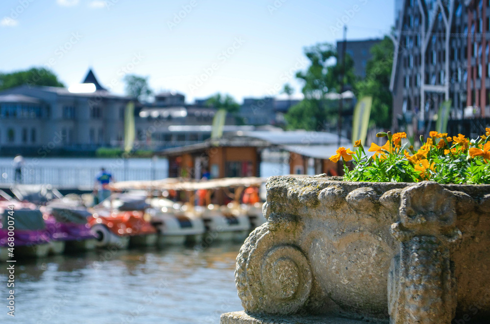 A stone flowerbed with flowers on the shore of a lake in Kaliningrad against the background of beautiful buildings. The historical part of the city of Kaliningrad. View of the upper lake in summer. 