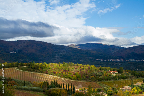 Paesaggio rurale collinare con vigne e alberi in autunno