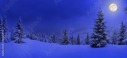 Fototapeta Naklejka Na Ścianę i Meble -  Full Moon rising above the winter fir forest covered of snow in mountains. Landscape winter