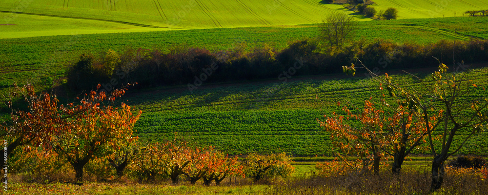 Panoramique patchwork vallonné des cultures dans le département de l'Yonne en région Bourgogne-Franche-Comté, France