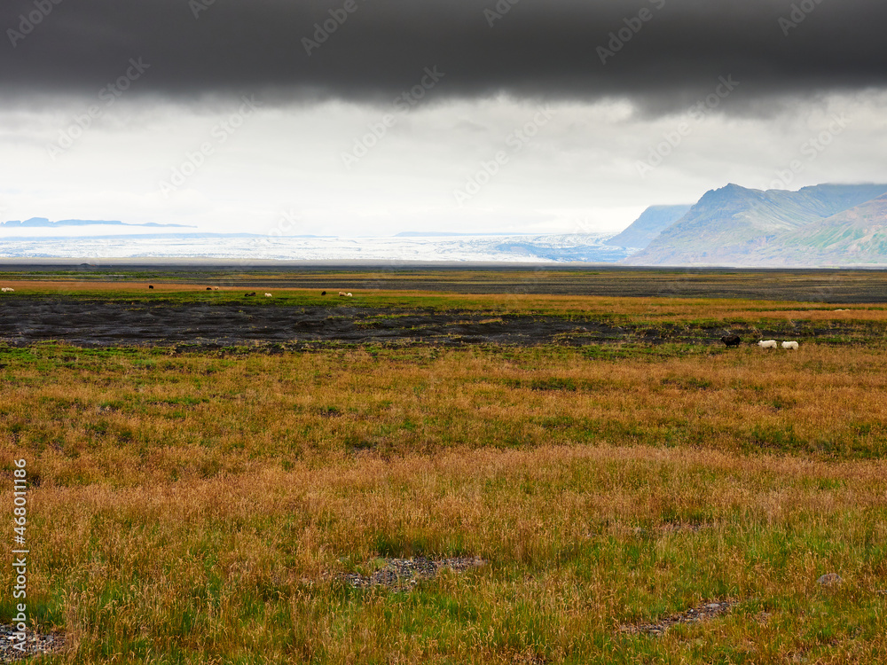 Parque natural de Islandia SVARTIFOSS