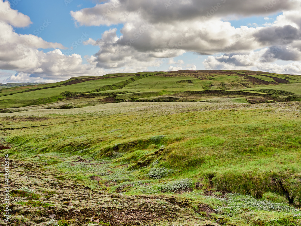 Fototapeta premium Islandia, paisajes verdes e iglesias
