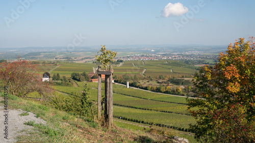 Landscape in Cleebronn, Baden Wurttemberg photo