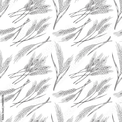 Seamless pattern design with wheat plants, hand drawn vector illustration.