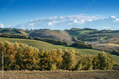 Shadows on the soft hills between Emilia Romagna e Marche, Italy.