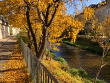 Bunte Bäume im Herbst am Wienfluss Radweg, Österreich