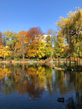 Bunte Bäume im Herbst am Teich im Doblhoff Park in Baden bei Wien, Österreich
