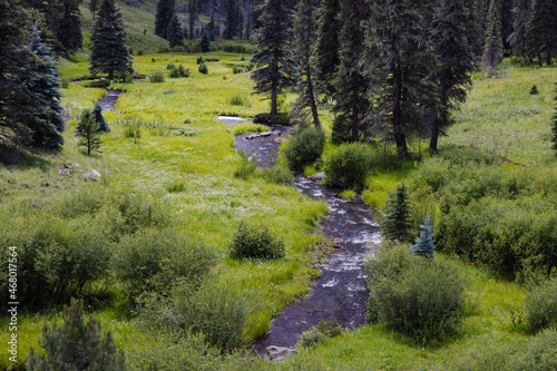 Along the West Fork Black River on the Thompson Trail in the White Mountains of east central Arizona. photo