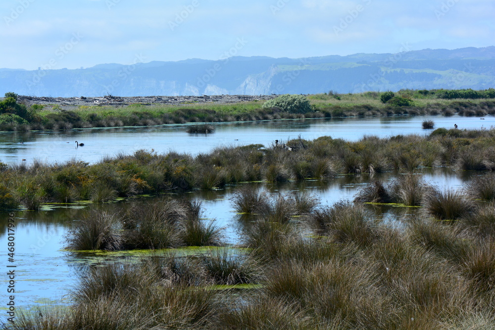 The East Clive Wetlands. New Zealand