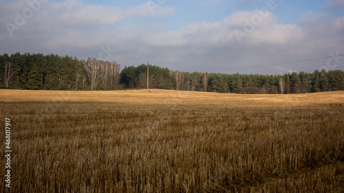 Suburbs of Grodno. Belarus. Autumn landscape: a mown field with a bright streak of sun, a forest in the distance and a blue sky with gray clouds.