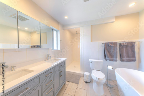 Traditional contemporary master bathroom interior with white and gray colors