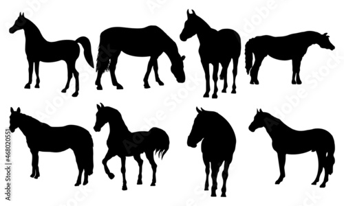 Floral Horse Silhouette SVG Horse Silhouette SVG Clipart