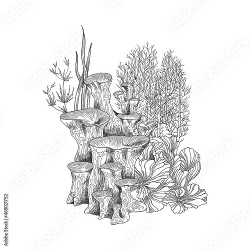Fototapeta Naklejka Na Ścianę i Meble -  Coral reef colony with seaweed, monochrome sketch vector illustration isolated on white background.