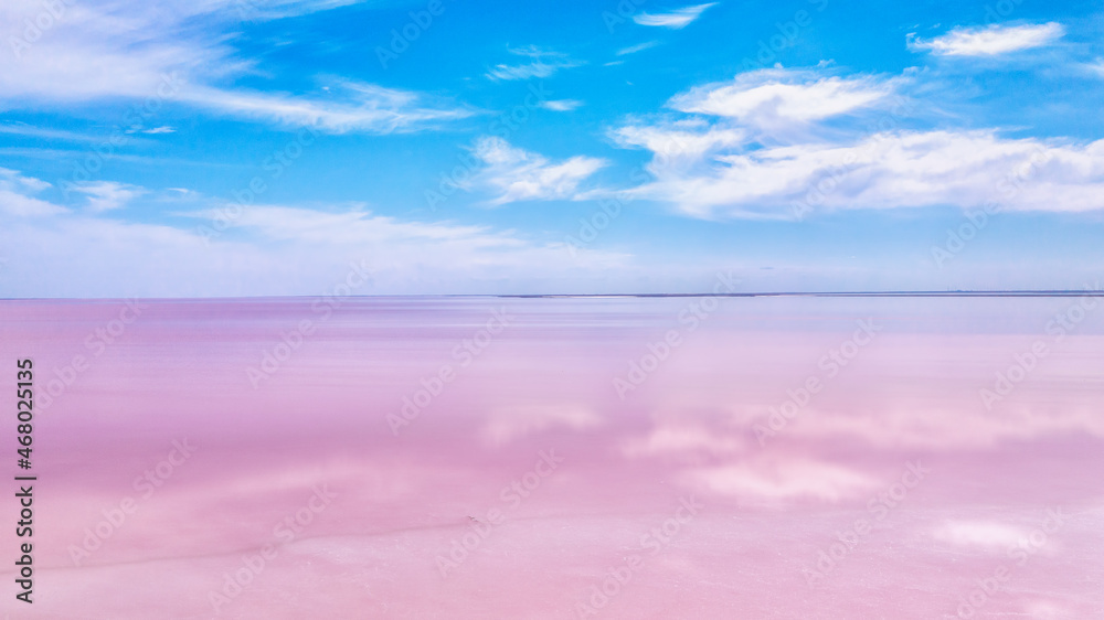 Obraz premium The pink water. Algae that grows in high levels of salt. Pink lake in Kherson region, Ukraine.