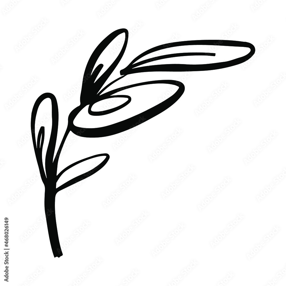 Organic leaf form.Trendy style boho element.Abstract pattern in a minimalist style. Line doodle object Organic leaf form.Trendy style boho element.Abstract pattern in a minimalist style. Line doodle object