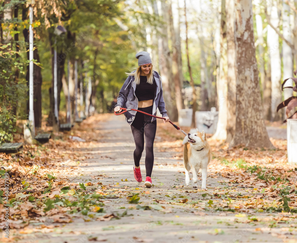 Fototapeta premium girl running and walking in beautiful park with akita dog.
