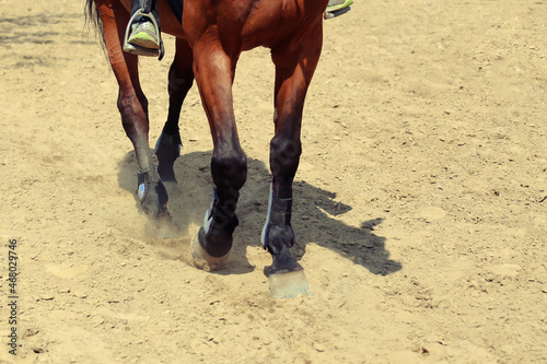 Close up view on the hooves of horses running through a dusty field.