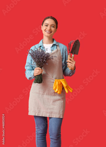 Female gardener with lavend...