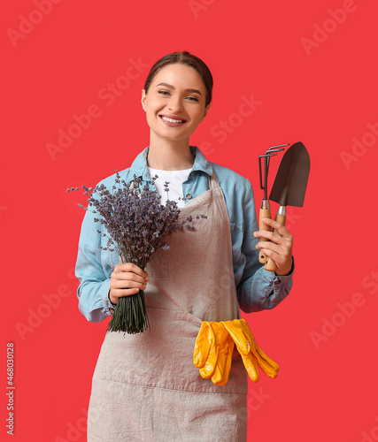Female gardener with lavend...