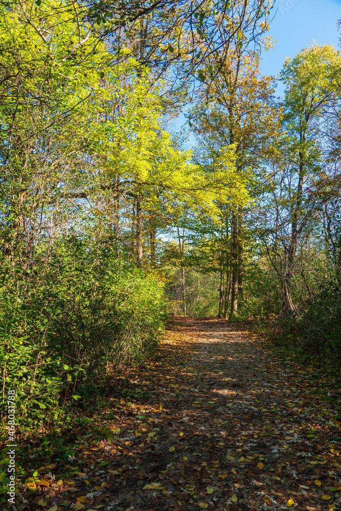 Canadian Fall Trails