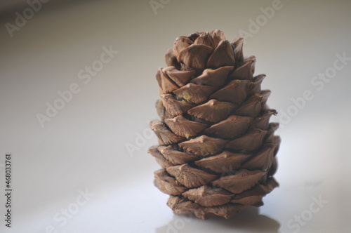 pine cones on a wooden background