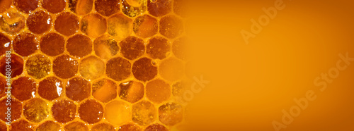 Amber sweet honey in honeycombs. The place for your text