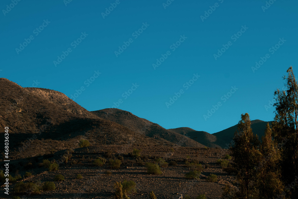 Fototapeta premium Desert