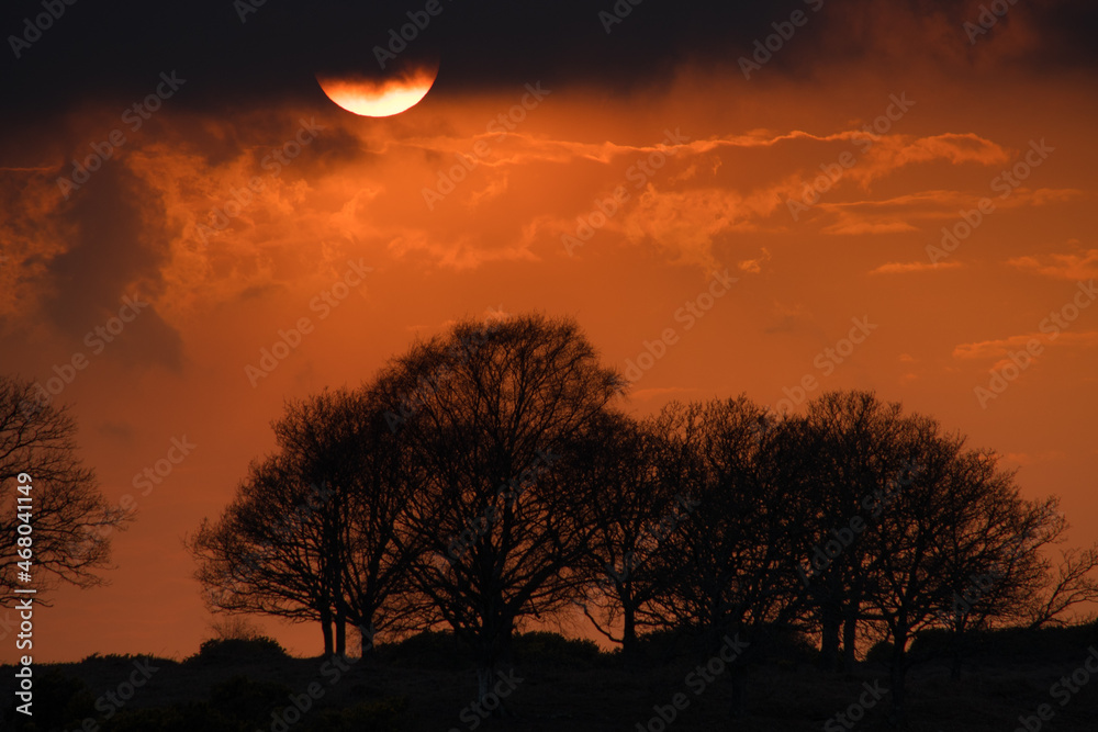 Fototapeta premium Sun...