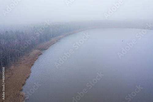 Aerial view of the lake shore overgrown with reeds next to the forest in foggy weather