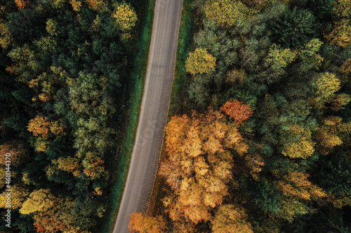 Aerial view of the road passing through the colorful autumn forest © smiltena