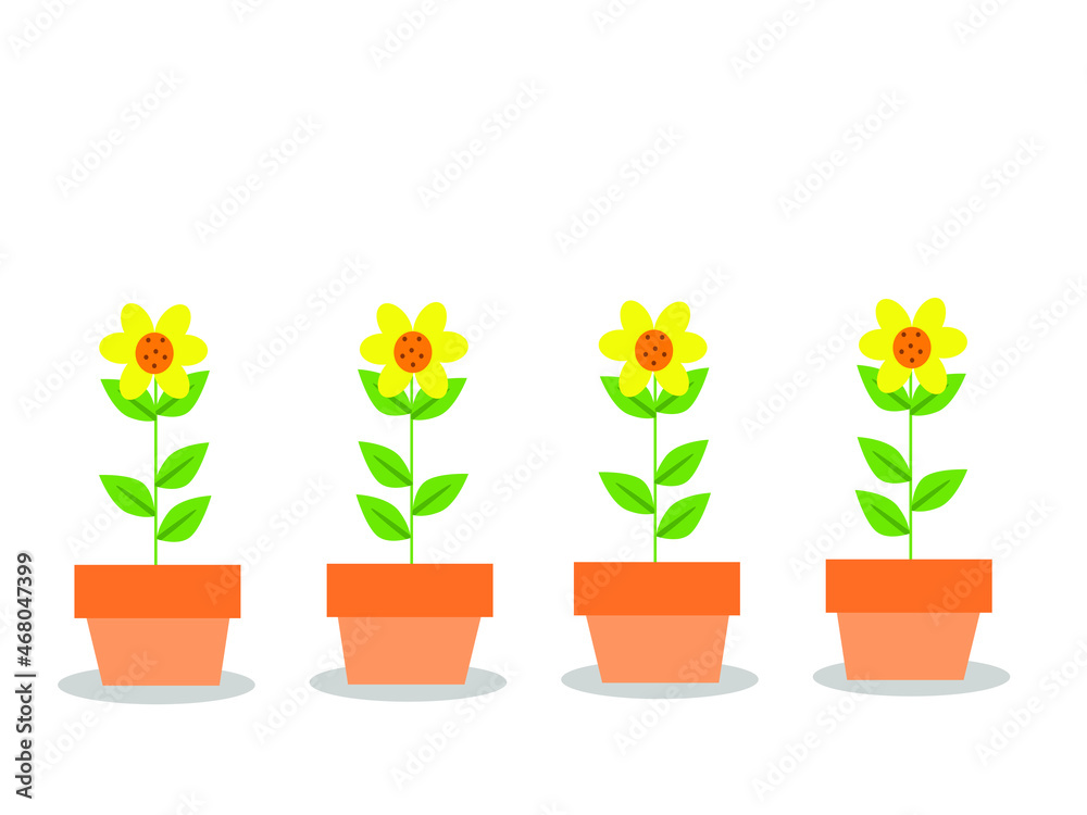 tulips in pots, sunflower vector illustration