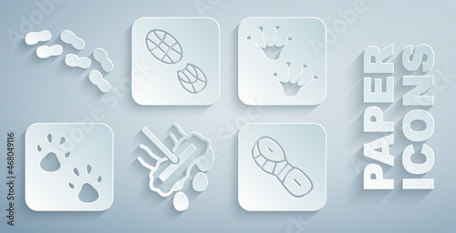 Set Mop, Frog paw footprint, Paw, Human footprints shoes, and icon. Vector