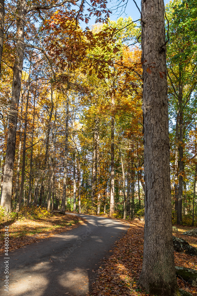 A road through the woods in the Gettysburg National Military Park on a sunny fall day