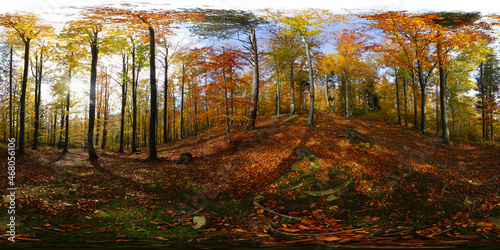 Fototapeta Naklejka Na Ścianę i Meble -  Beskid Mountains in the autumn HDRI Panorama