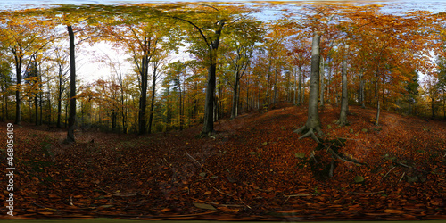 Fototapeta Naklejka Na Ścianę i Meble -  Beskid Mountains in the autumn HDRI Panorama