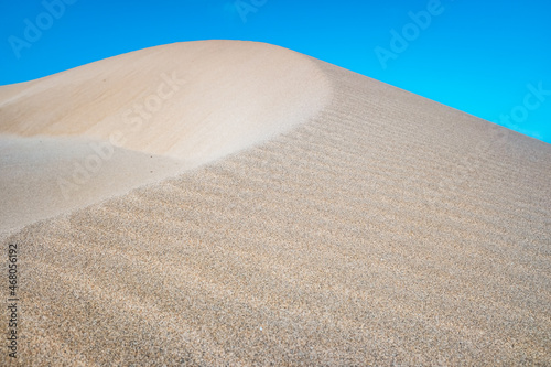 Fine sand blown by the wind creates dunes on the shores of the sea.