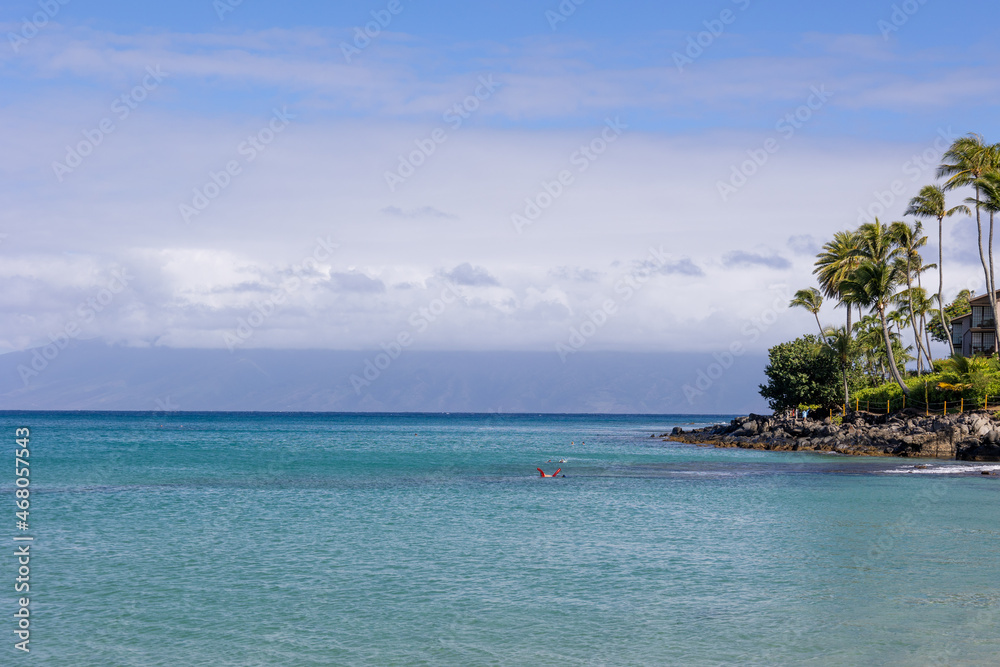 Fototapeta premium Tropical beach in Maui, Hawaii. Ocean water background 