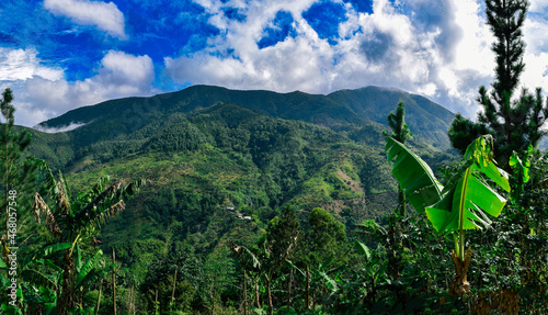 Jamaica North Coast 789