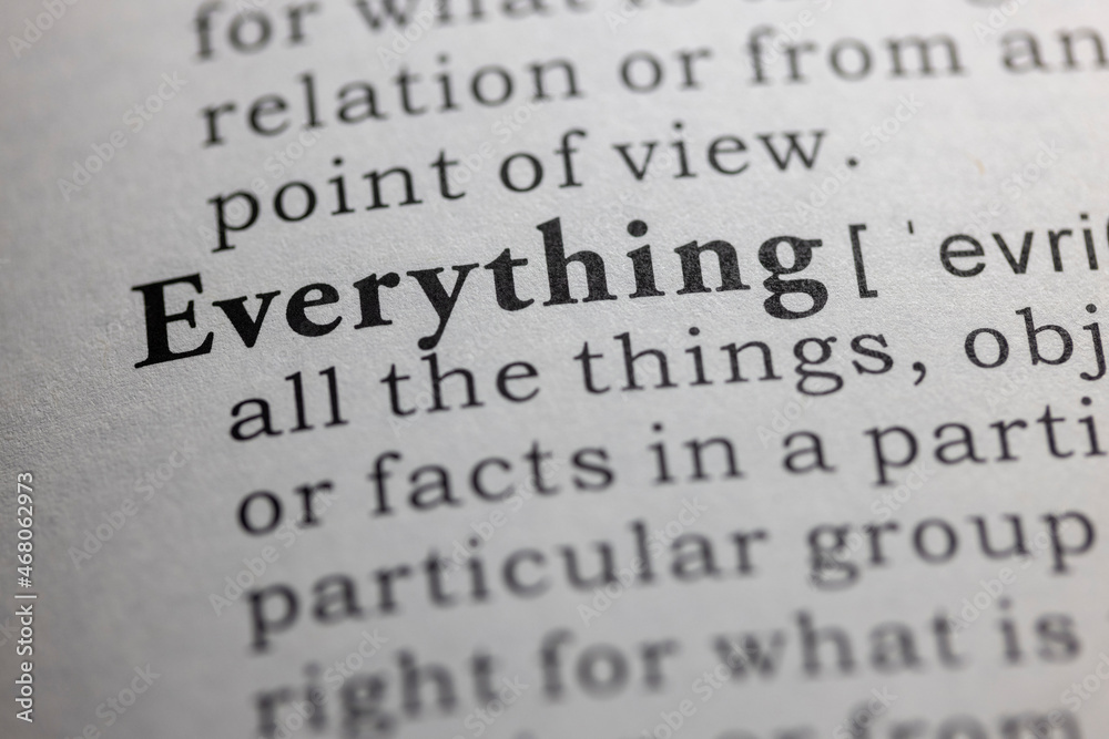 Dictionary definition of everything - obrazy, fototapety, plakaty 