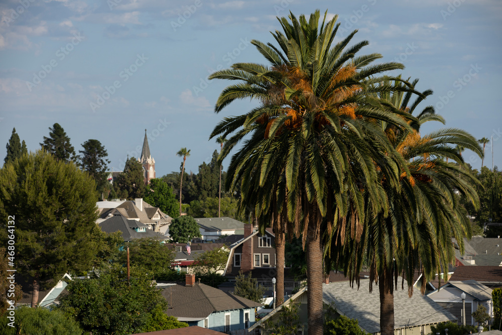 Palm framed view of the historic downtown skyline of the city of Orange, California, USA.