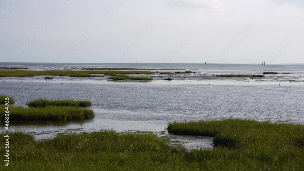 The landscape of the sea bay, the calm sea and the thick green grass, a relaxing day , Dundalk, Ireland The landscape of the sea bay, the calm sea and the thick green grass, a relaxing day , Dundalk, Ireland