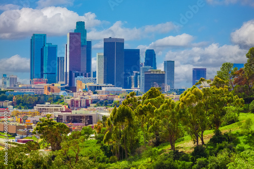 Lush foliage fills the hillsides in Los Angeles in springtime.