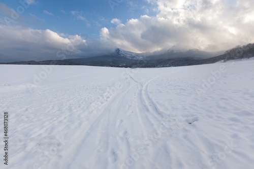 Beautiful winter snow landscape background