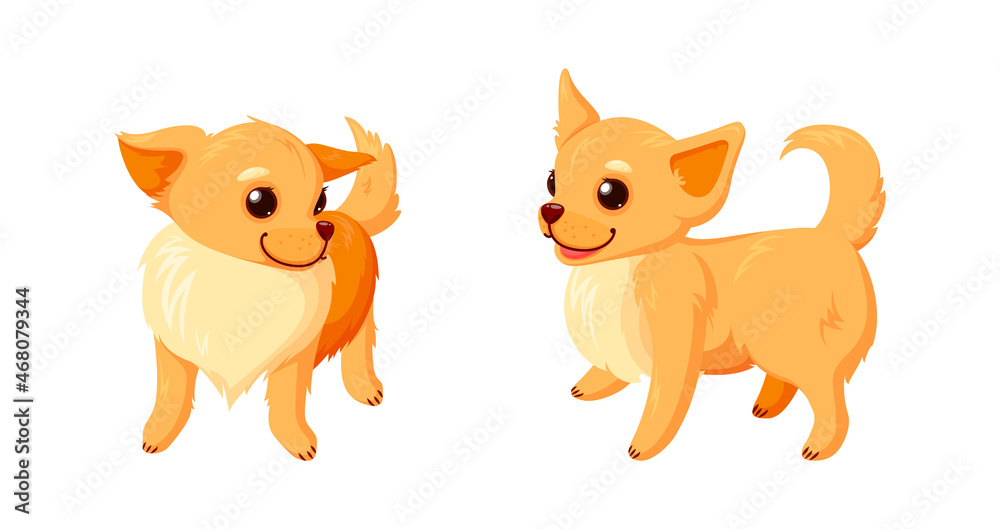 Playful chihuahua dogs. Chihuahua puppies with curly tails isolated in white background. Vector illustration in cute cartoon style