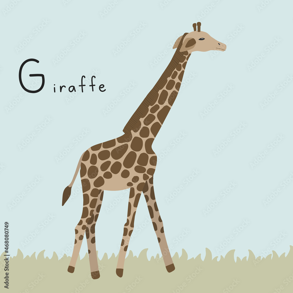 Cute fluffy giraffe with safari. Letter G from the alphabet. Cute baby animal illustration.