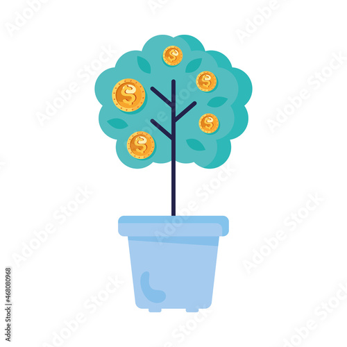 money funds plant